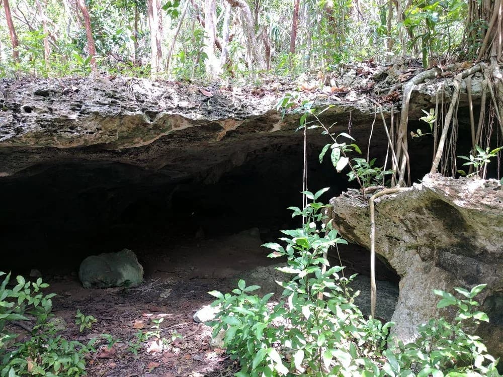 Morgan’s Cave Entrance