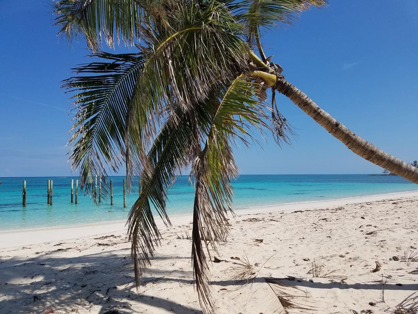 Nicholls Town Beach, Andros Island