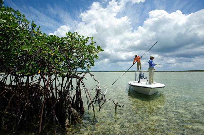 Fly-Fishing Guides on Bahamian Flats