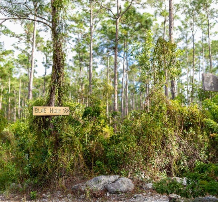 Trail sign to a blue hole on Andros