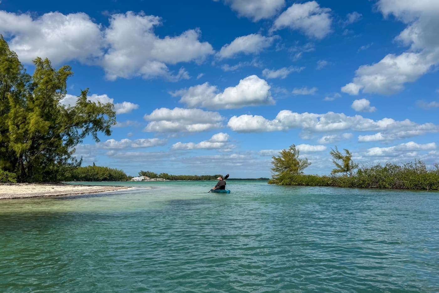 Kayaking through mangroves on Andros