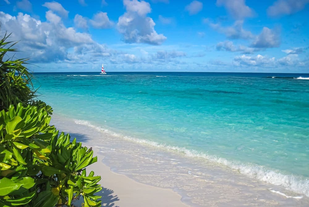 Tropical Beach at Gaulding Cay