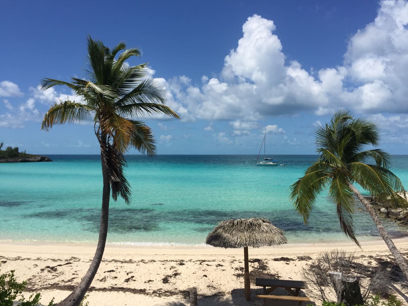 Tropical Caribbean Shoreline