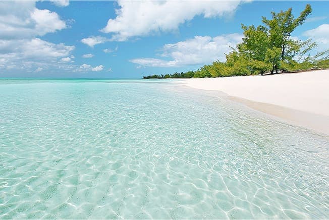 Beach Shoreline with Crystal Clear Water White Soft Powdery Sand and Trees