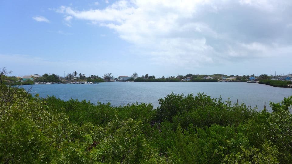 Lake Victoria at George Town
