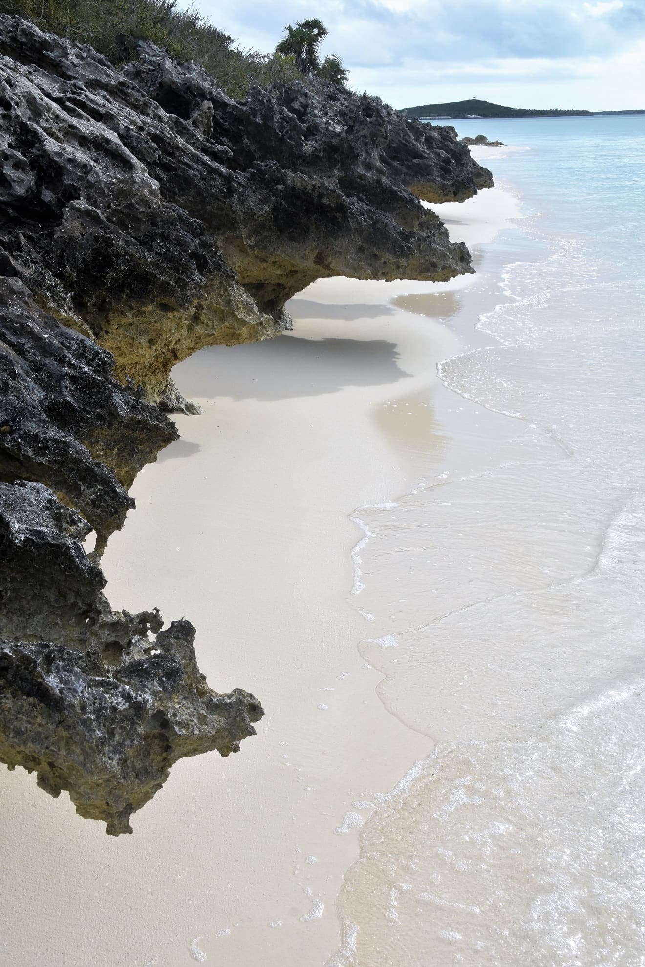 Limestone Overhangs at Sand Dollar Beach