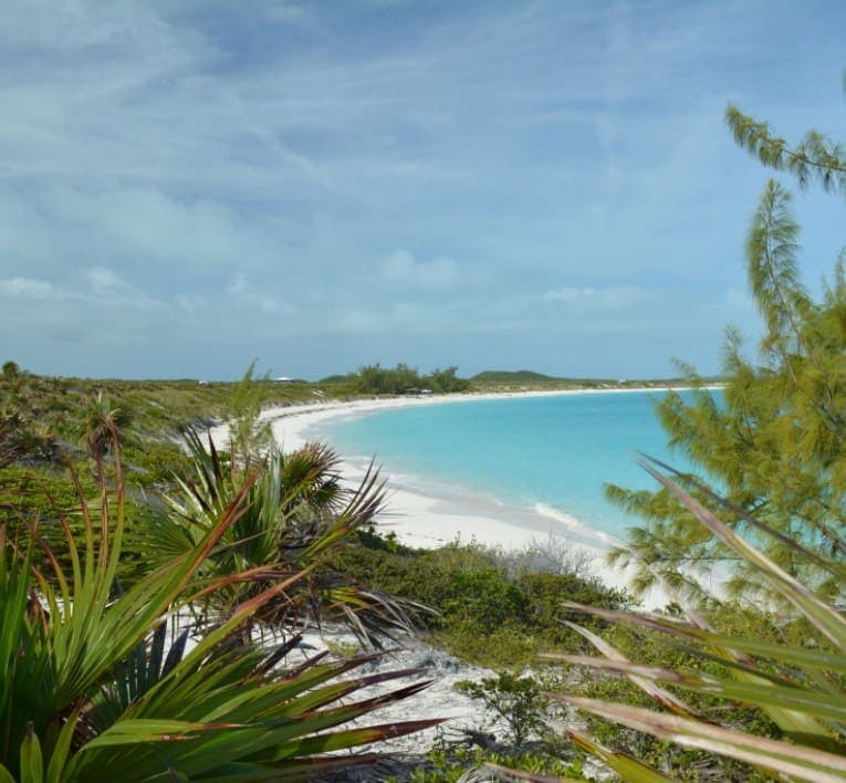 Compass Cay Beach View