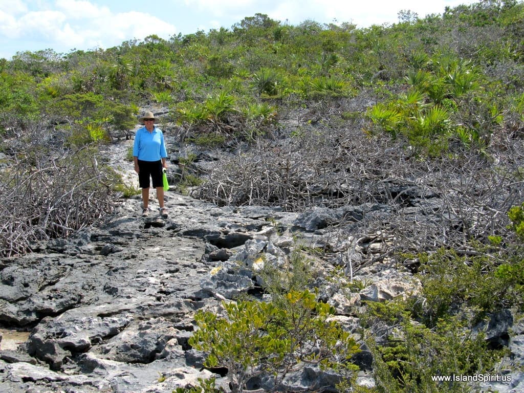 Hiking Warderick Wells