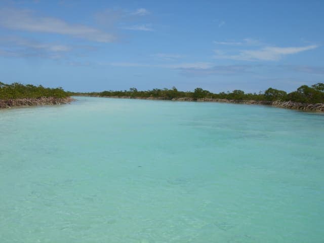 Mangrove Creek to White Sand Beach