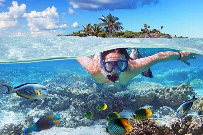 Snorkelling over a reef in the Abacos