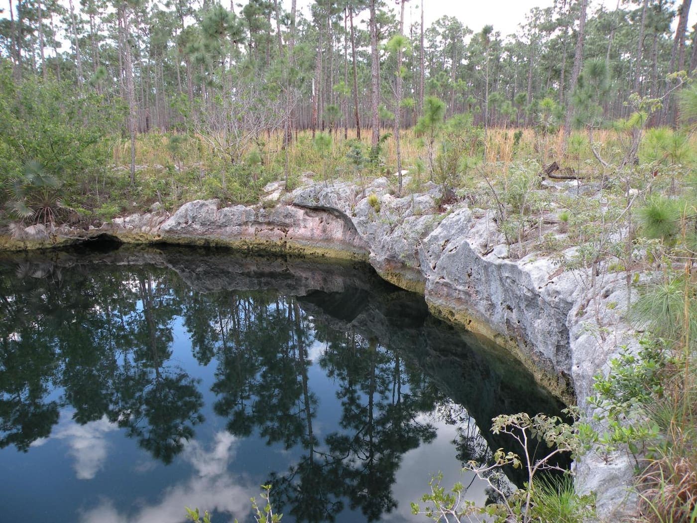 Sawmill Sink Blue Hole on Abaco Island
