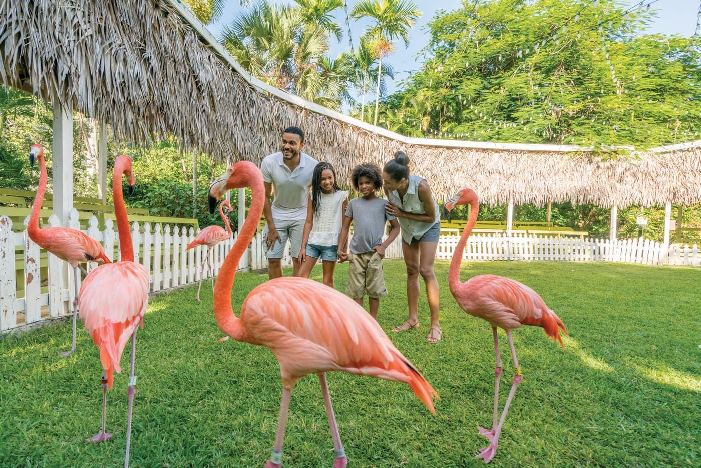 Ardastra Gardens and Wildlife Conservation Centre
