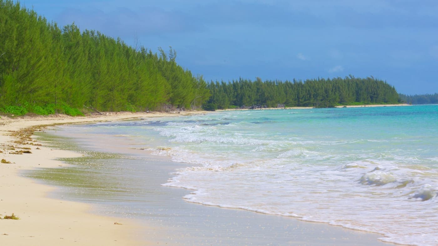Barbary Beach Shoreline