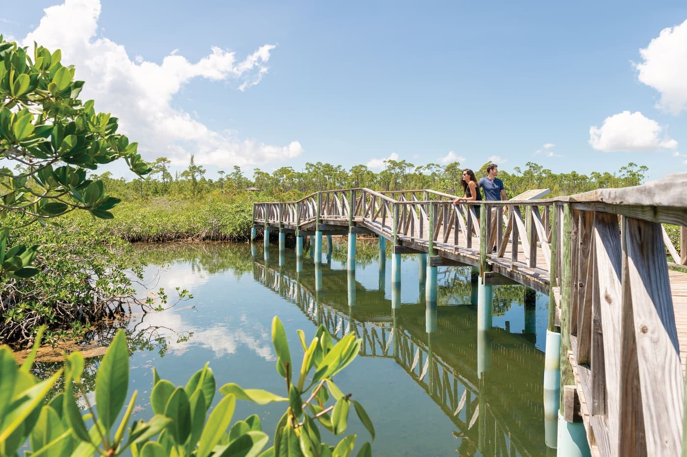 Lucayan National Park cave and mangrove walk