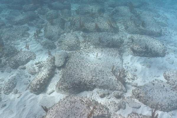 Stones on the Ocean Floor