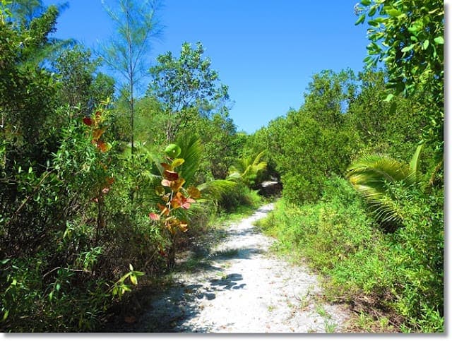 Bimini Nature Trail