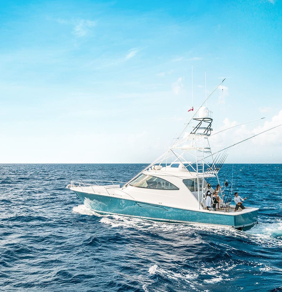 Offshore Sportfishing Excursion