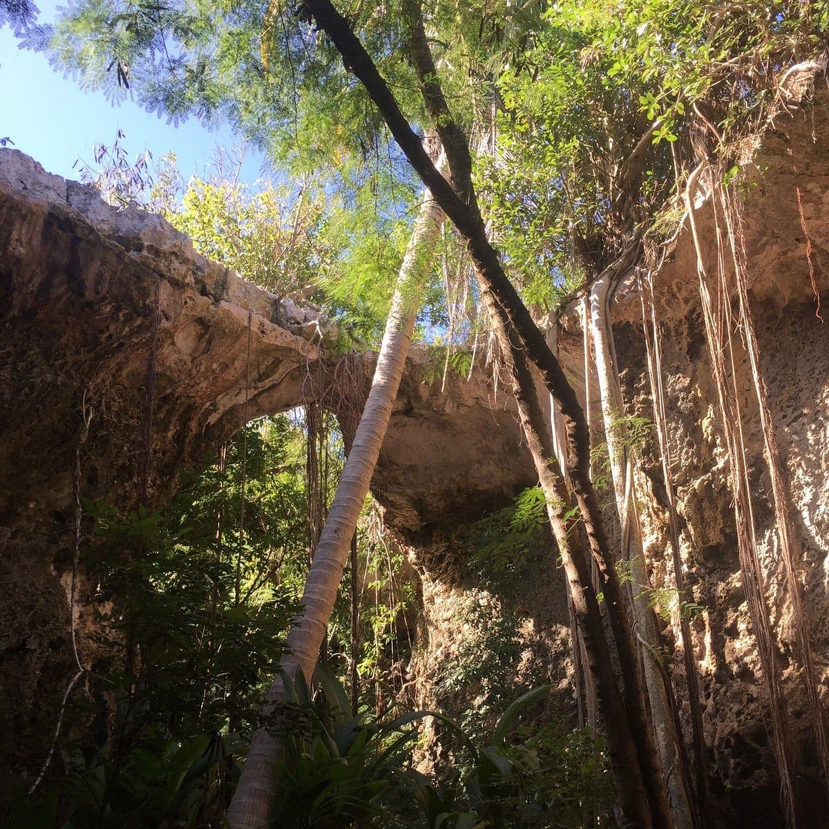Crooked Island Cave Entrance