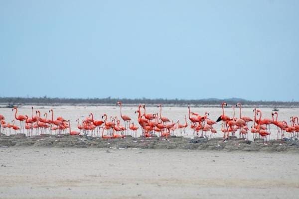Inagua National Park