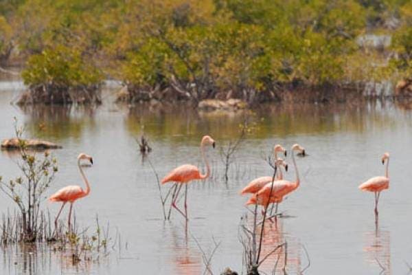 Little Inagua National Park
