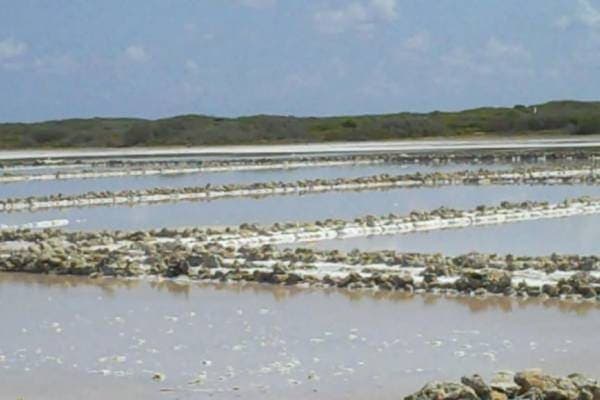 Ragged Island Salt Ponds