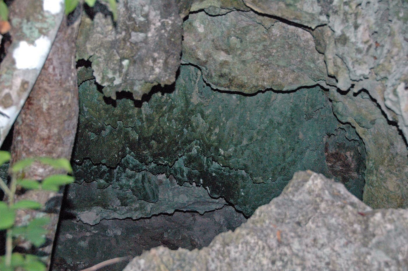 Reckley Hill Pond Water Cave visit