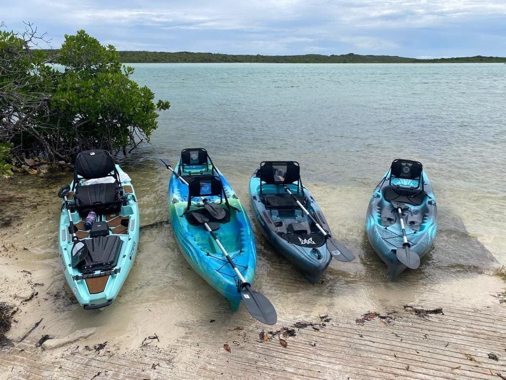 Kayaks Ready for Coastal Adventure