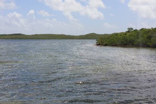 The Great Lake Preserve