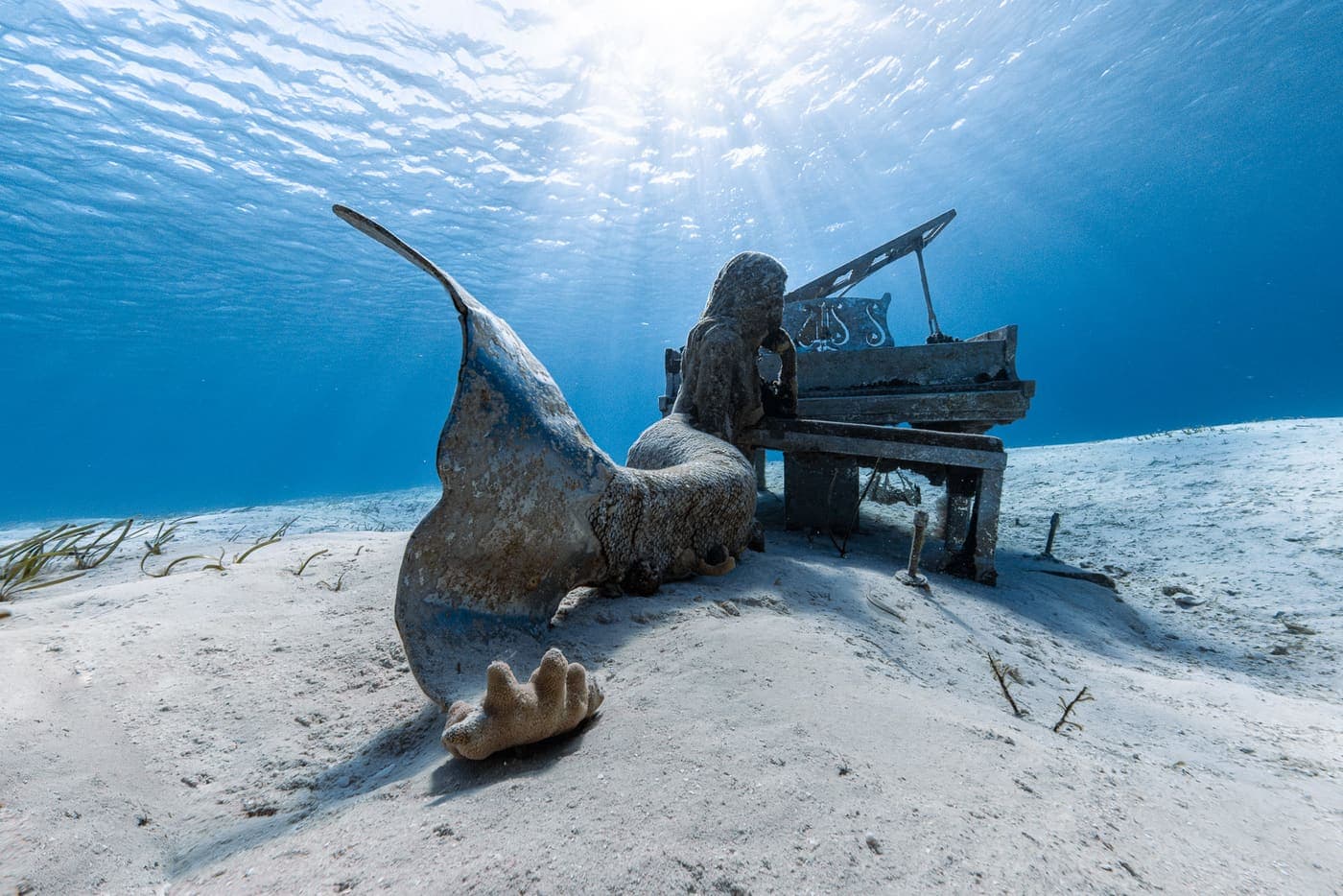 Underwater Mermaid Piano Installation