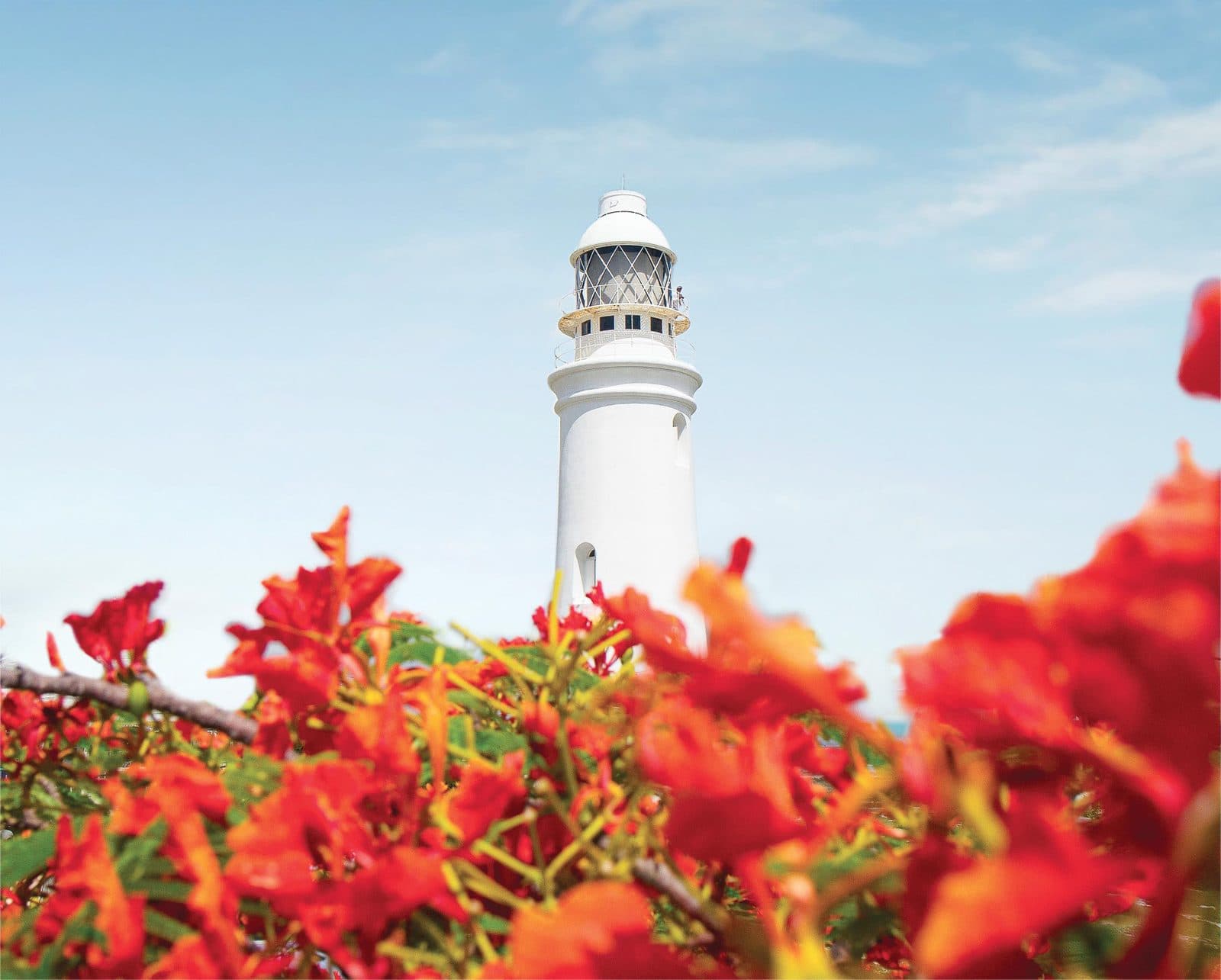 A white lighthouse above red flowering shrubs on San Salvador